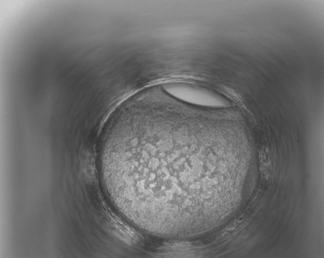 X0000059801260200510281629