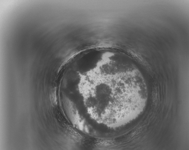 X0000059801262200510281629