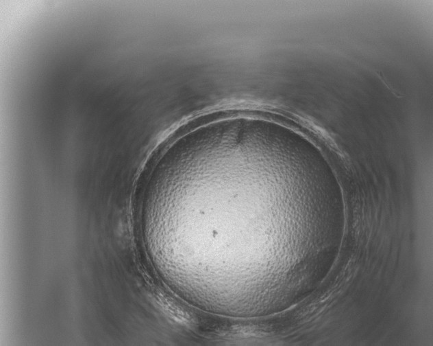 X0000059801264200510281629