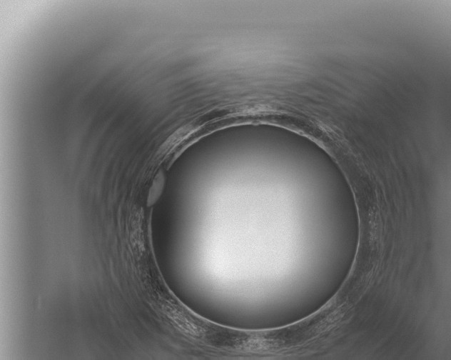 X0000059801265200510281629