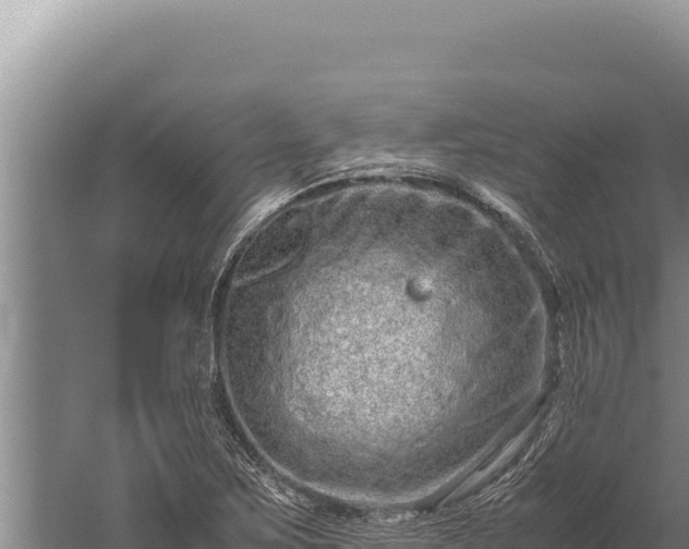 X0000059801267200510281629