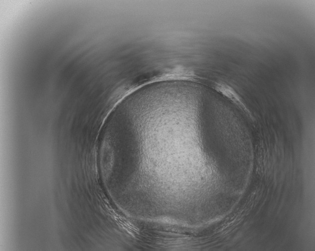 X0000059801268200510281629