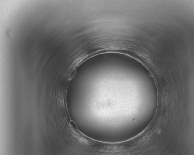 X0000059801273200510281629