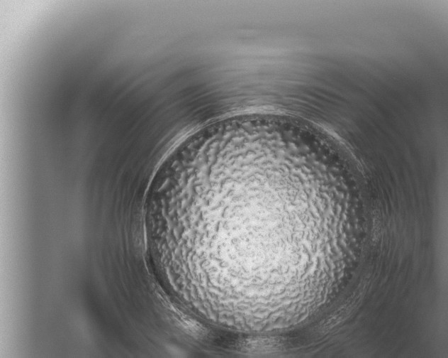 X0000059801274200510281629