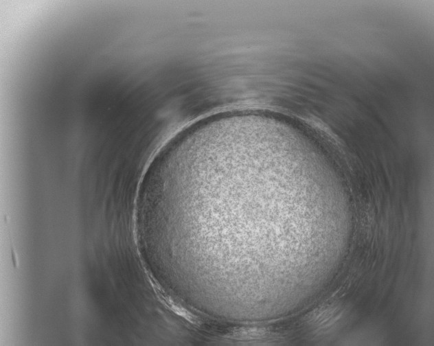 X0000059801278200510281629