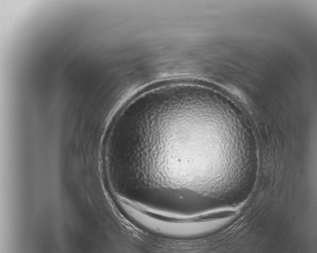 X0000059801279200510281629