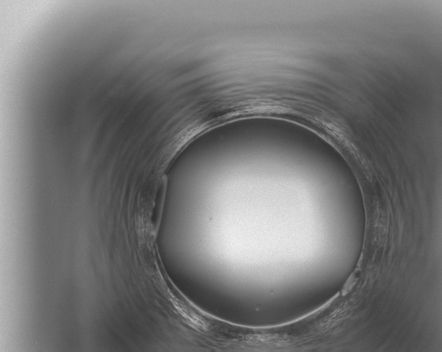 X0000059801281200510281629