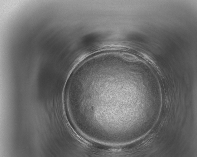 X0000059801283200510281629