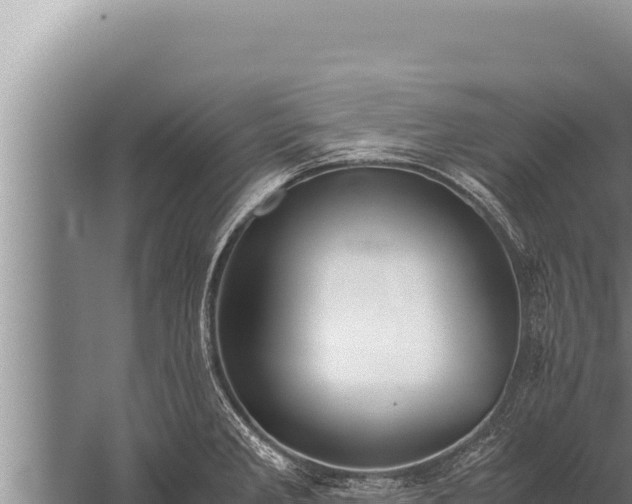 X0000059801285200510281629