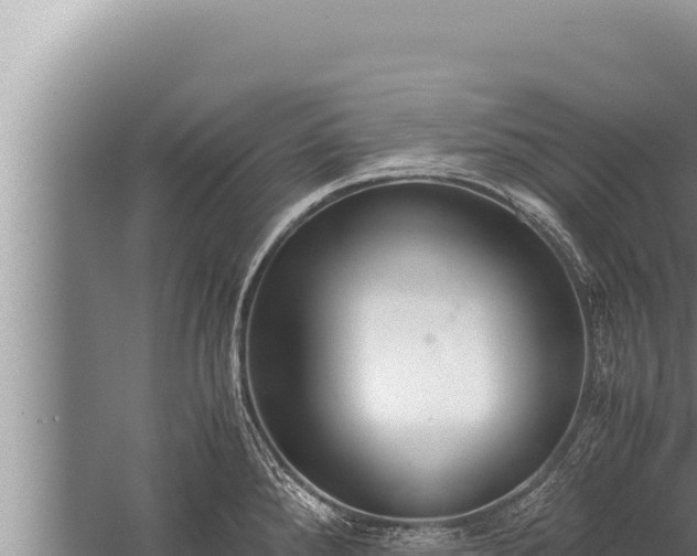 X0000059801288200510281629