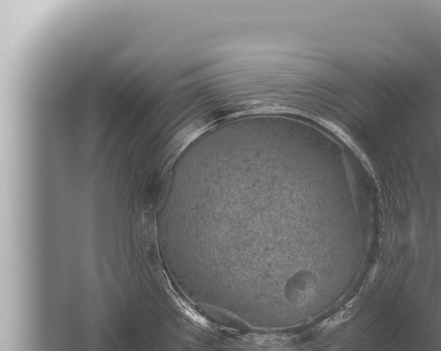 X0000059801289200510281629