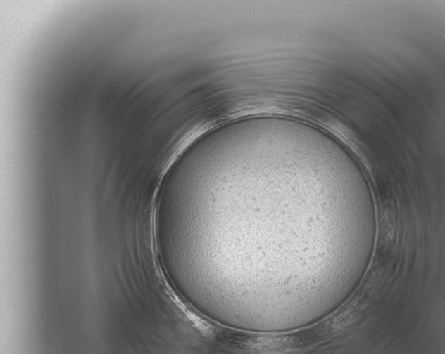 X0000059801290200510281629