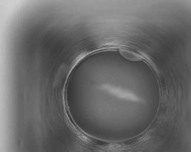 X0000059801291200510281629