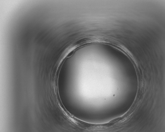 X0000059801293200510281629