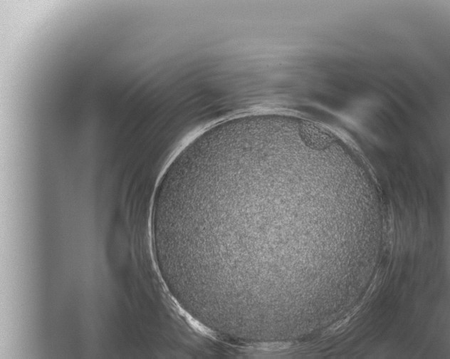 X0000059801294200510281629