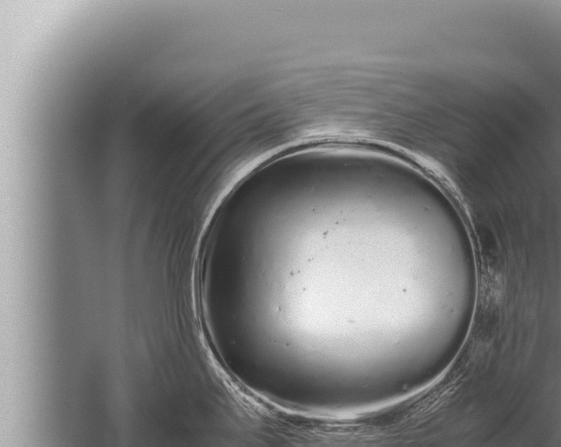 X0000059801295200510281629