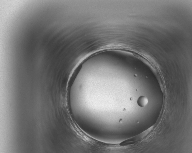 X0000059801296200510281629