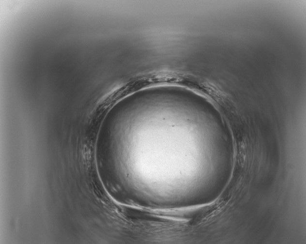 X0000059801302200510281628