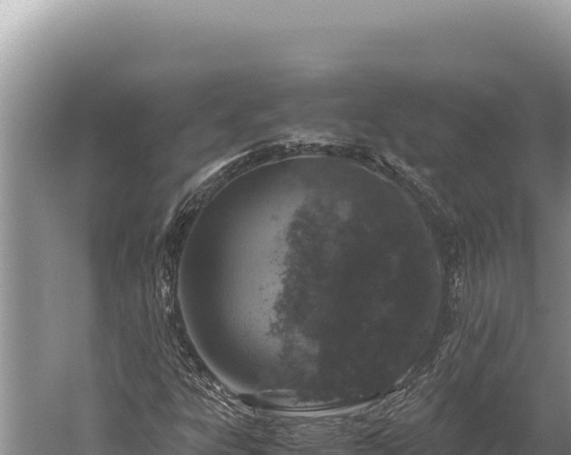 X0000059801303200510281628