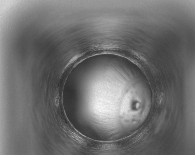 X0000059801306200510281628