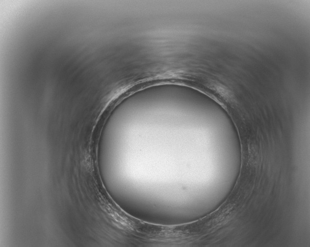 X0000059801308200510281628