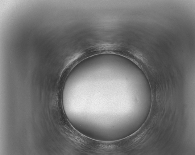 X0000059801309200510281628