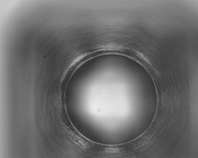 X0000059801315200510281628