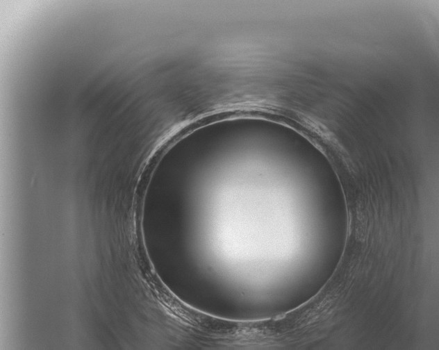 X0000059801316200510281628