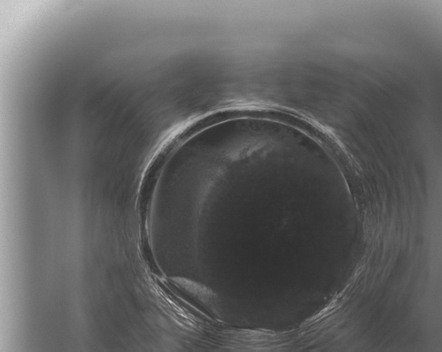 X0000059801319200510281628