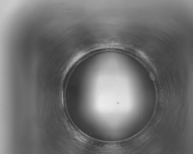 X0000059801320200510281628