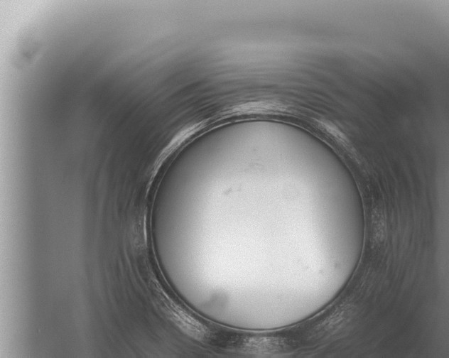 X0000059801322200510281628