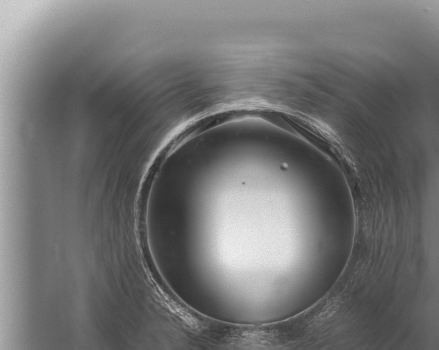 X0000059801326200510281628