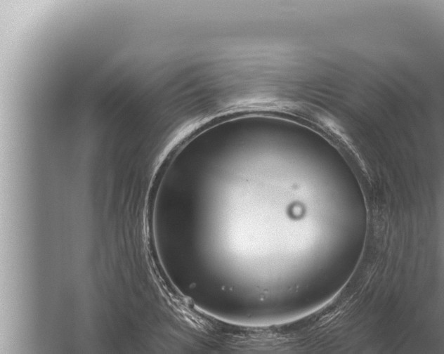 X0000059801328200510281628