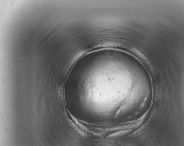 X0000059801329200510281628