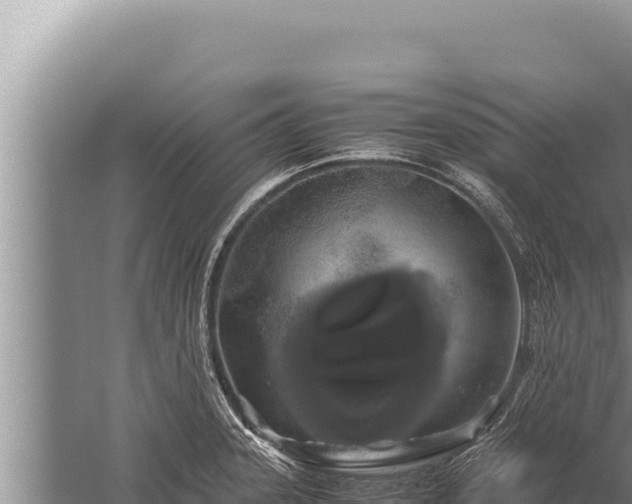 X0000059801331200510281628