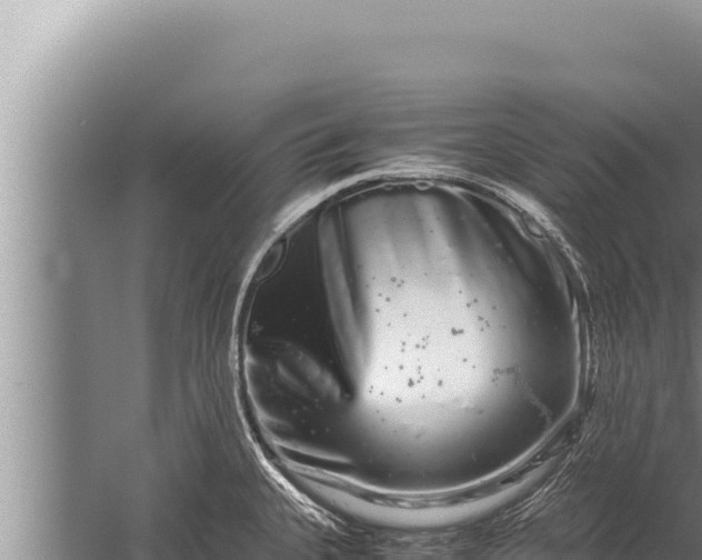 X0000059801335200510281629