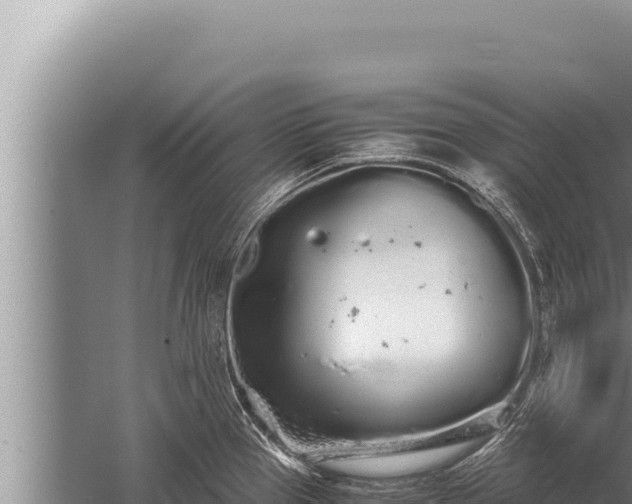 X0000059801337200510281629