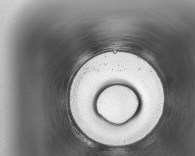 X0000059801338200510281629