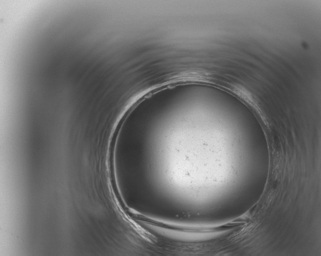 X0000059801339200510281629