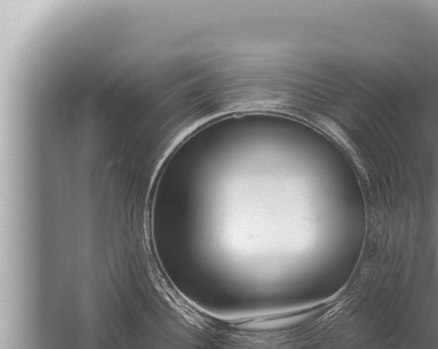 X0000059801340200510281629