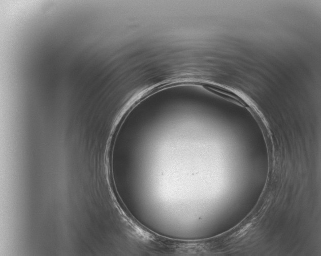 X0000059801341200510281629