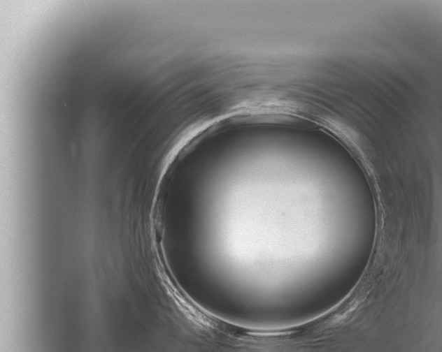 X0000059801344200510281629