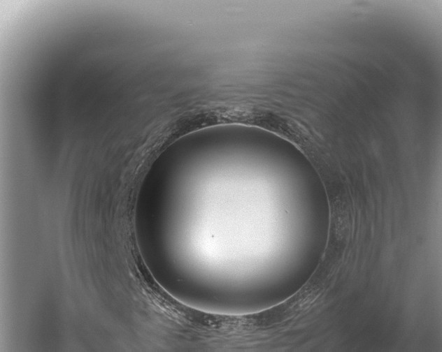 X0000059801345200510281628