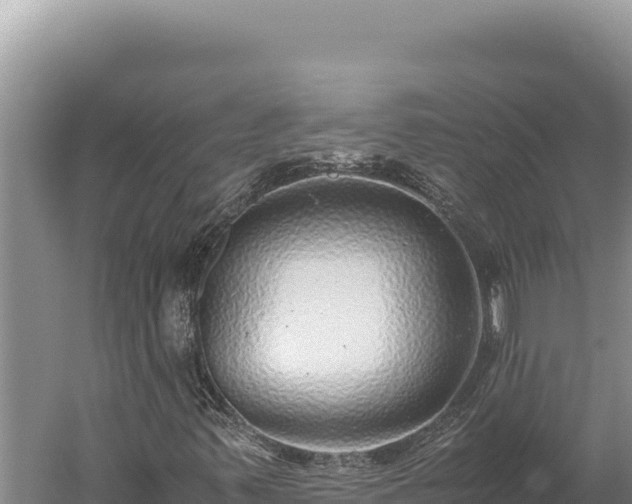 X0000059801347200510281628