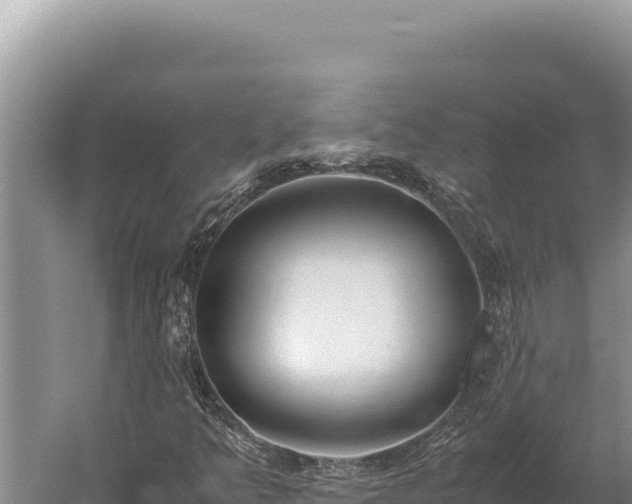 X0000059801349200510281628