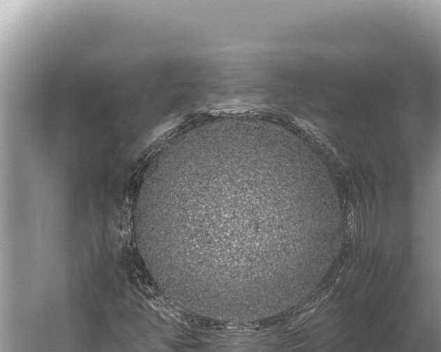 X0000059801350200510281628