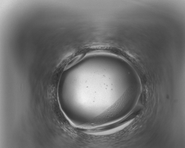 X0000059801351200510281628