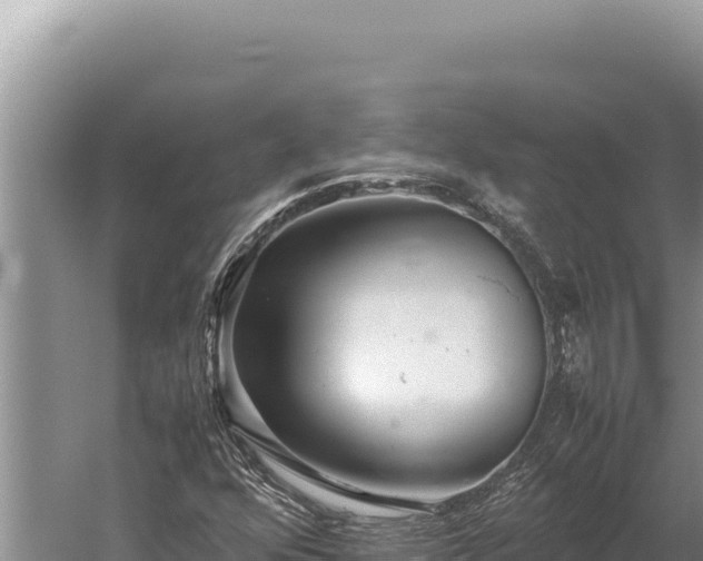 X0000059801352200510281628