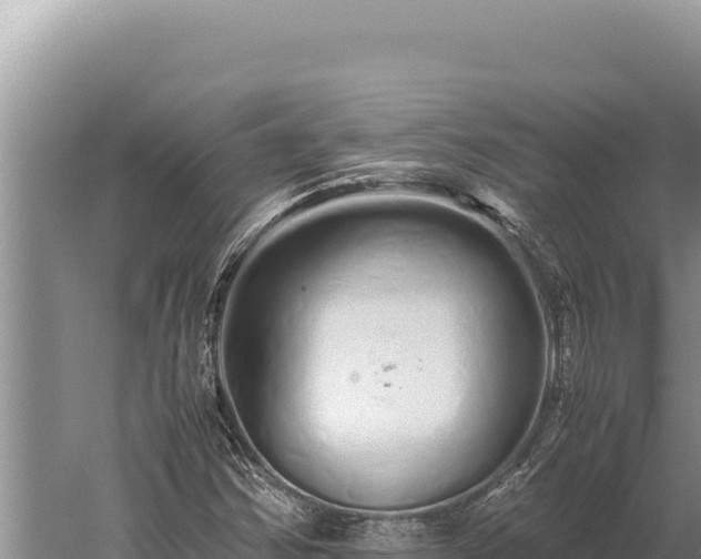 X0000059801354200510281628