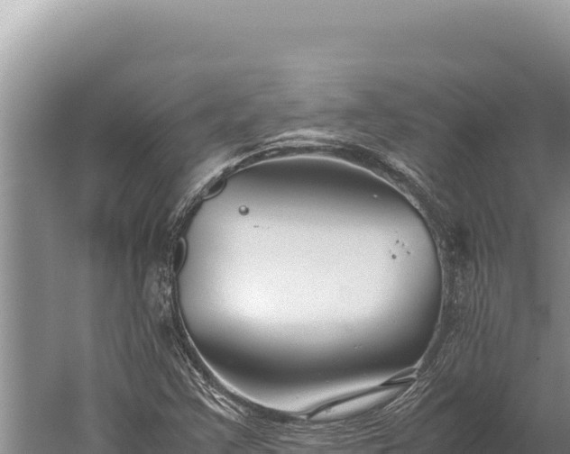 X0000059801355200510281628